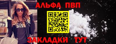 ешки Кингисепп