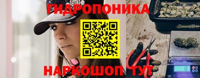 ешки Кингисепп