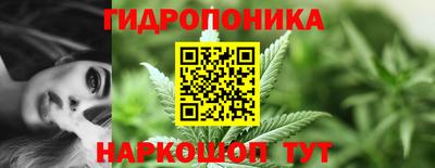 ешки Кингисепп
