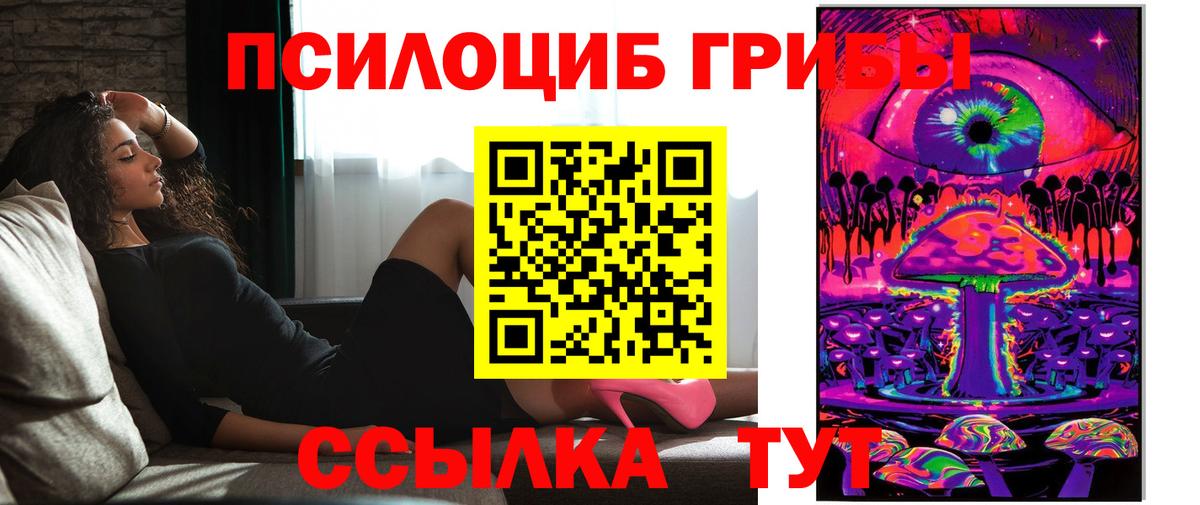 Псилоцибиновые грибы Cubensis Котельники