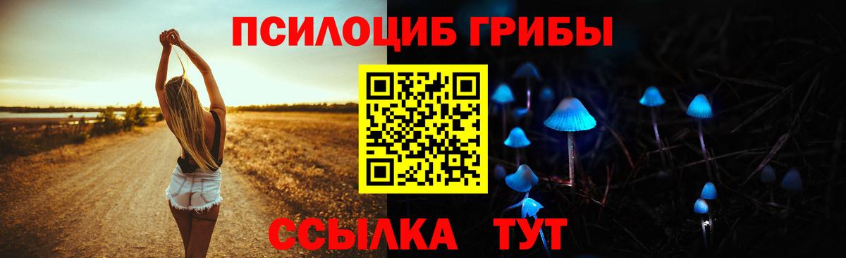 Псилоцибиновые грибы мухоморы  Вход с VPN  что такое   Котельники 